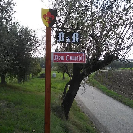 New Camelot