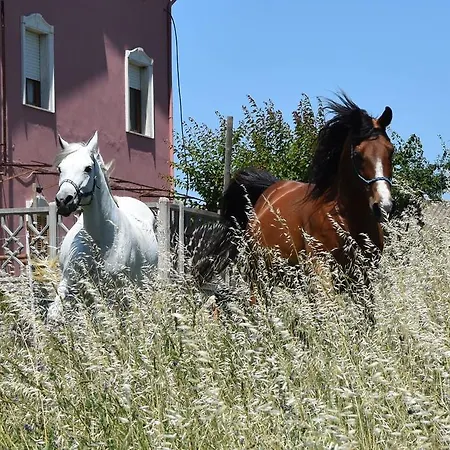 Bed & Breakfast New Camelot